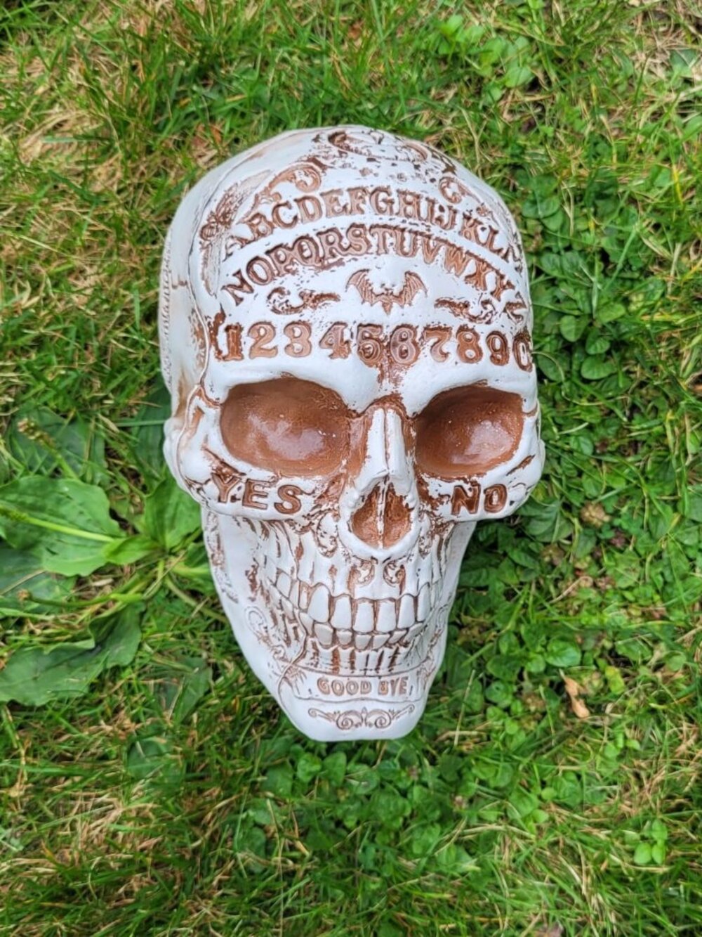 Halloween Skull resin/plaster “fortune-telling”